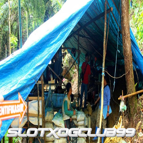 Mengintip Deretan Tenda Biru Lokasi Tambang Emas Ilegal di Sukabumi